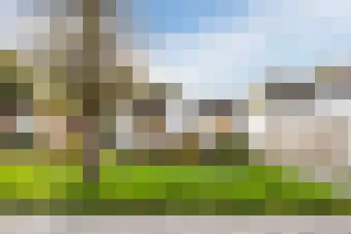 Hazebrouckstraat 18 Fijnaart thumbnail 6