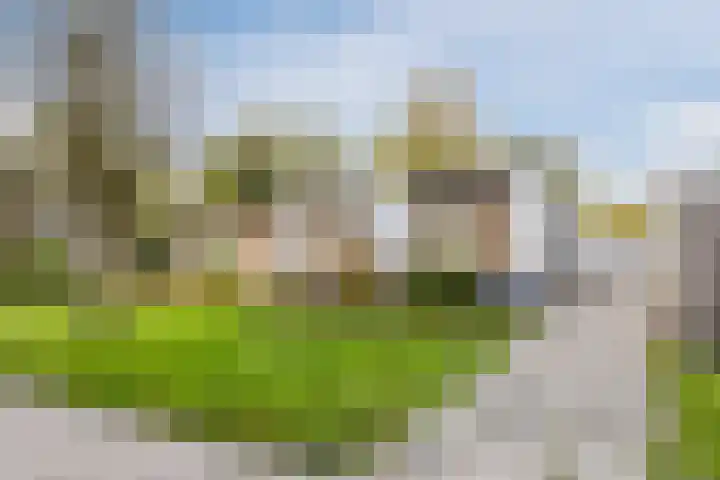 Hazebrouckstraat 18 Fijnaart thumbnail 7
