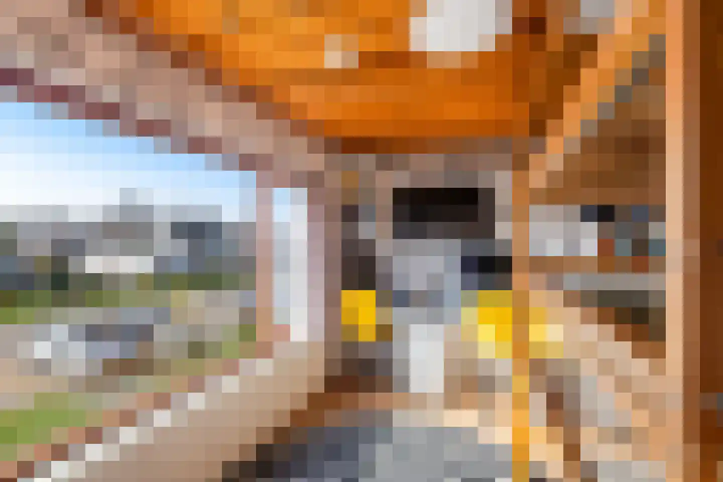 Hazebrouckstraat 35 Fijnaart thumbnail 19