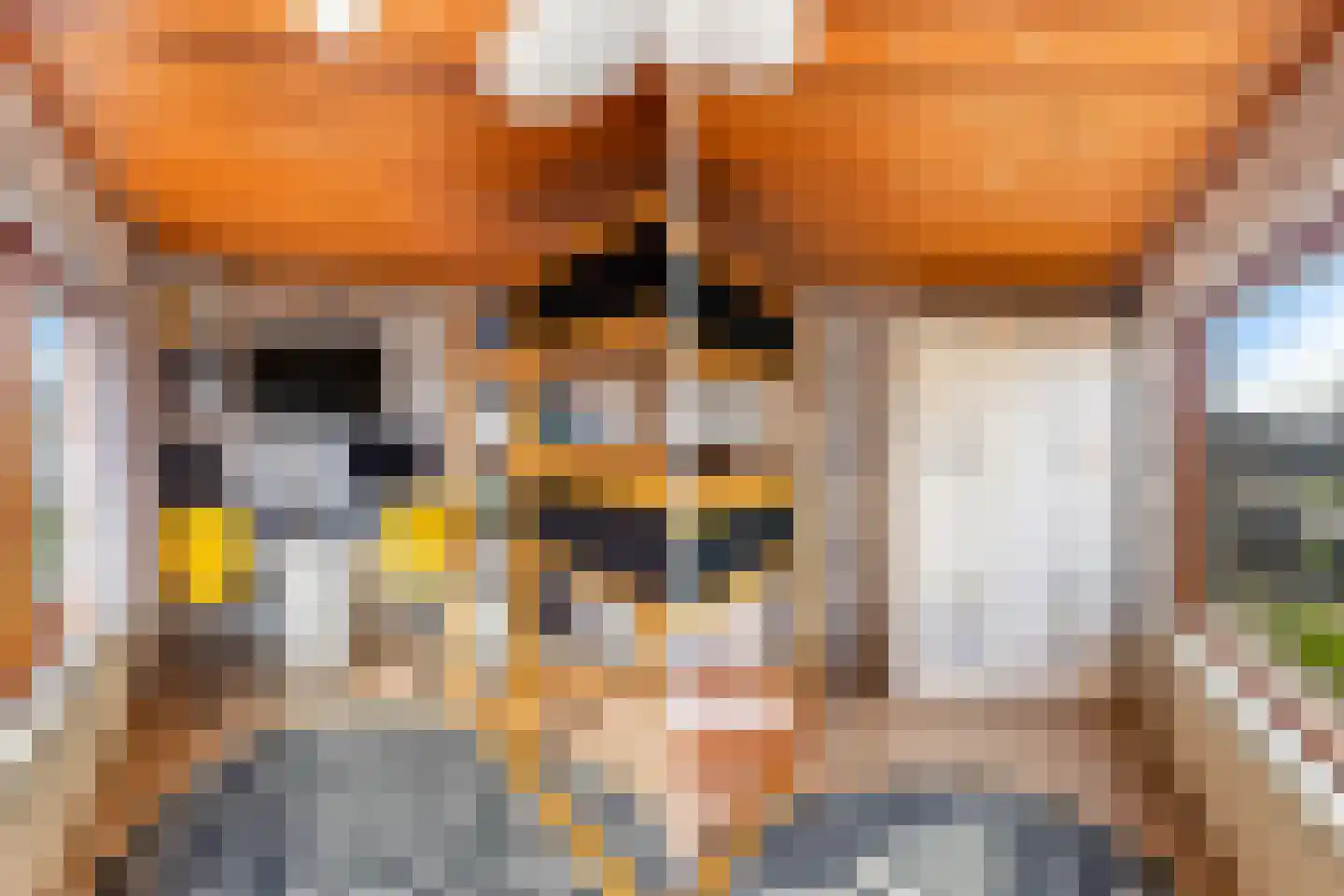 Hazebrouckstraat 35 Fijnaart thumbnail 20