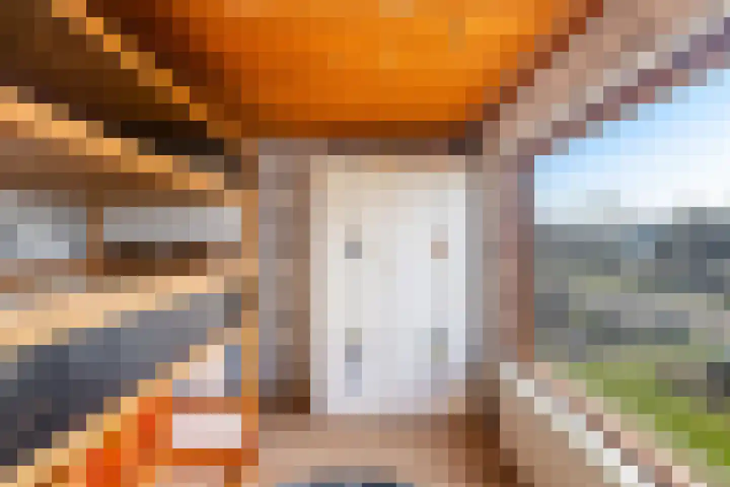 Hazebrouckstraat 35 Fijnaart thumbnail 21