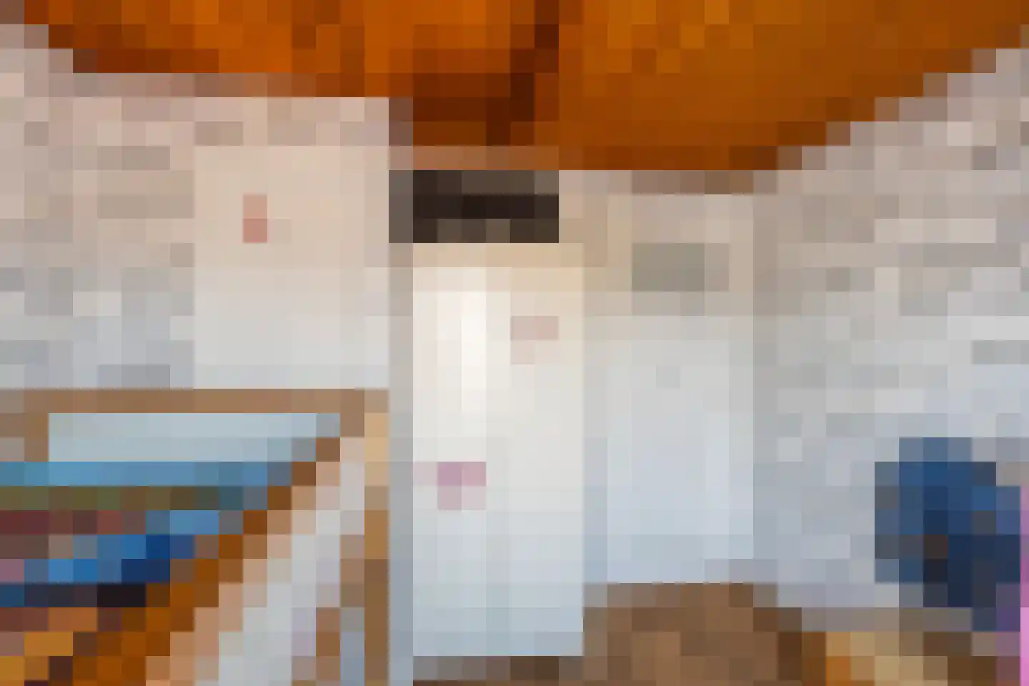 Hazebrouckstraat 35 Fijnaart thumbnail 24