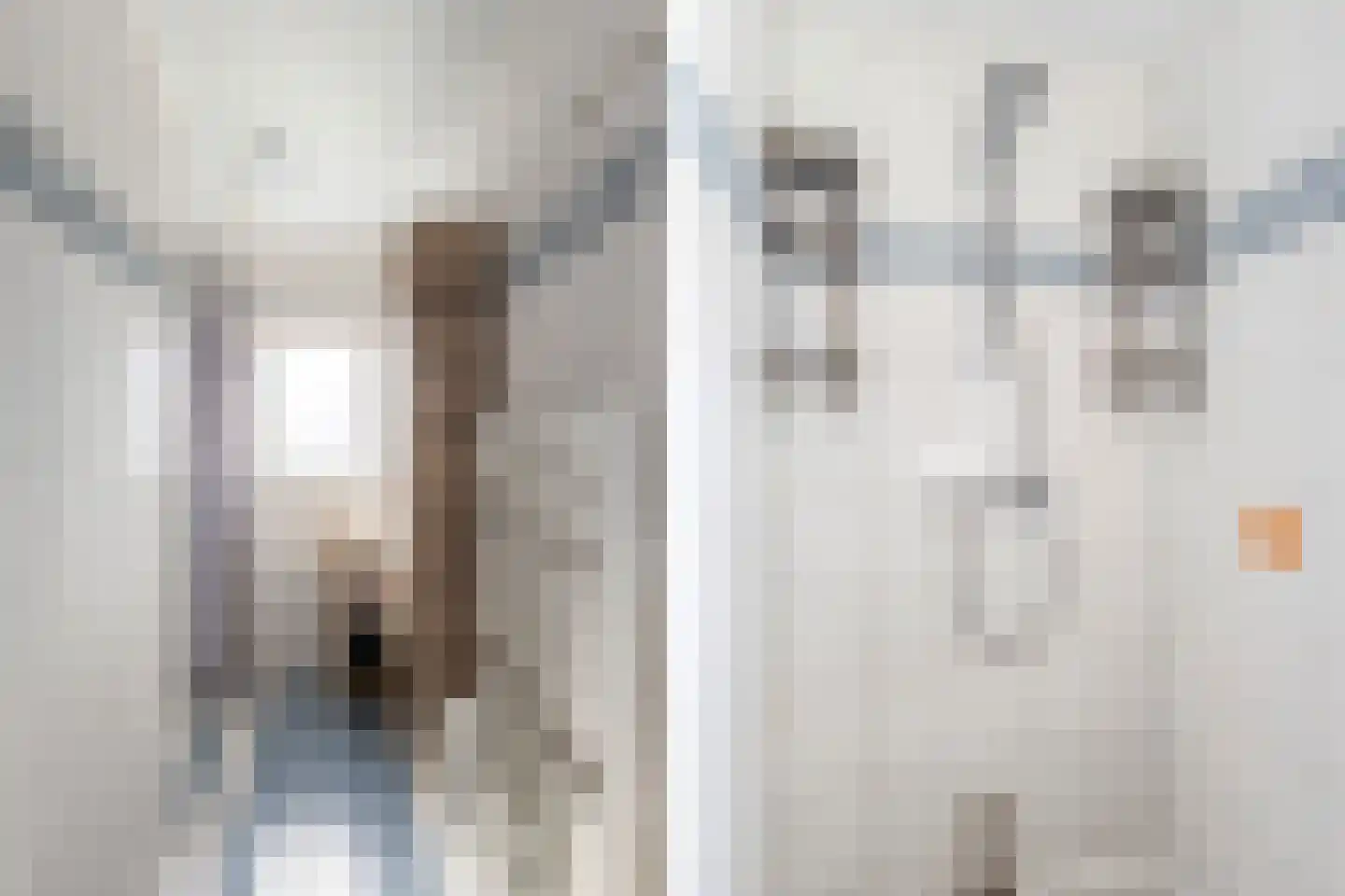 Hazebrouckstraat 35 Fijnaart thumbnail 28