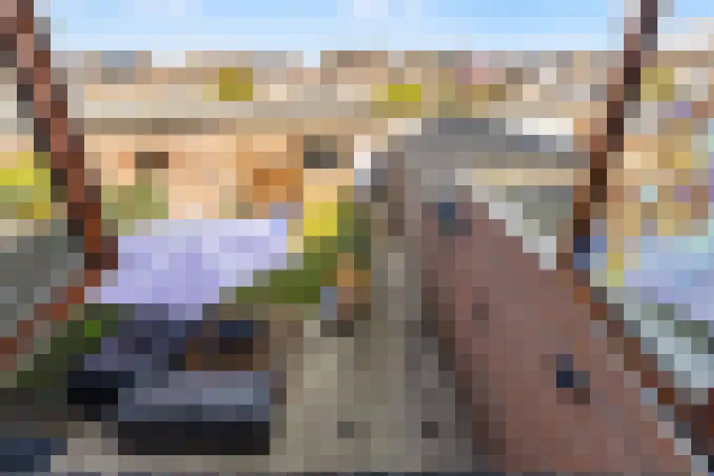 Hazebrouckstraat 35 Fijnaart thumbnail 30