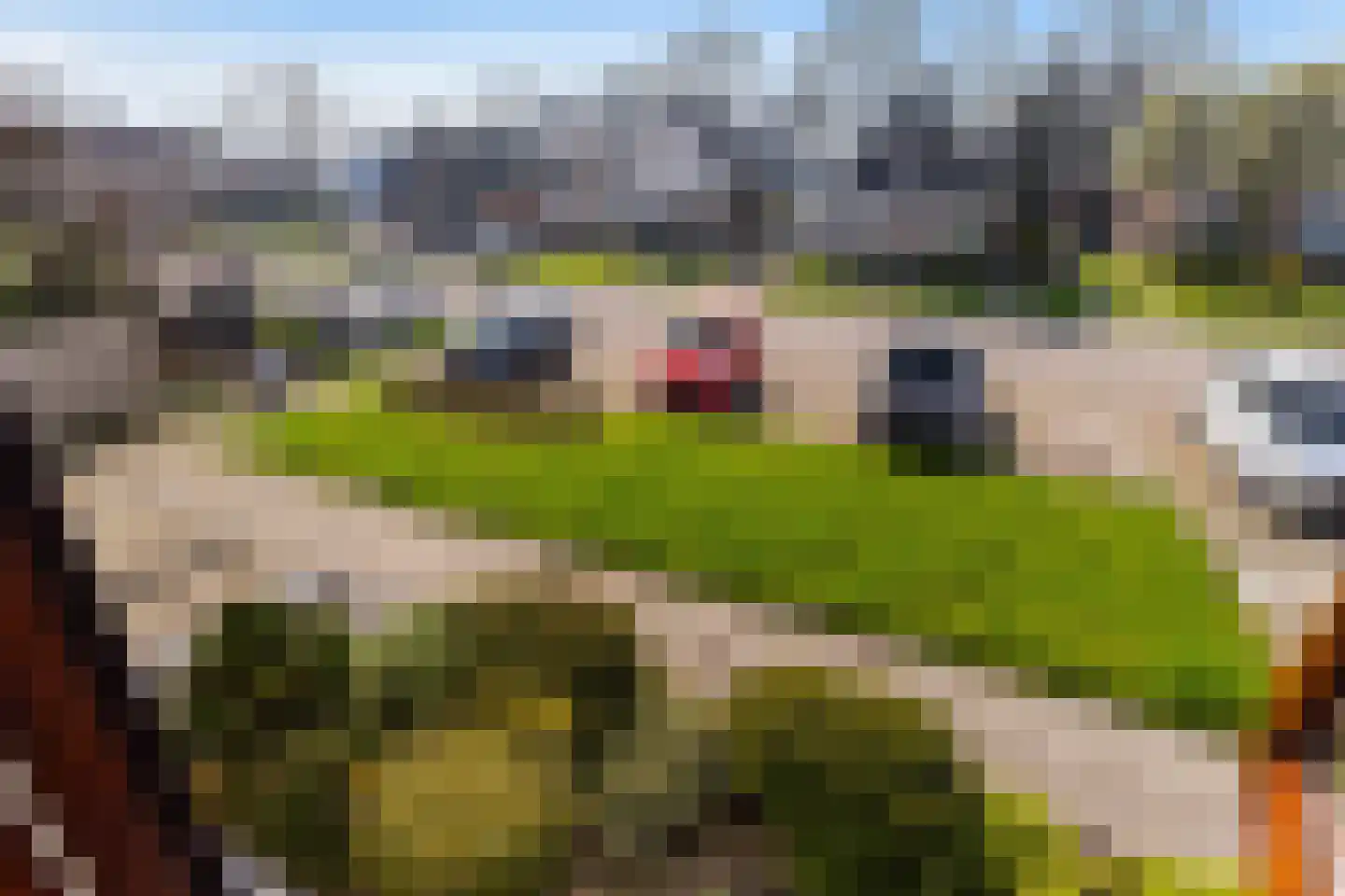 Hazebrouckstraat 35 Fijnaart thumbnail 41