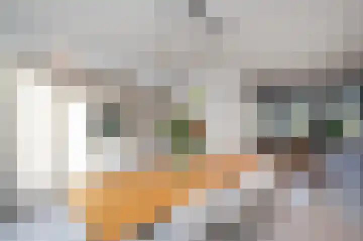 Hazekade 18 Bodegraven thumbnail 15