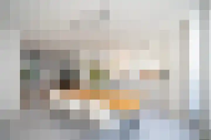 Hazekade 18 Bodegraven thumbnail 16