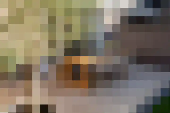 Hazekade 18 Bodegraven thumbnail 23