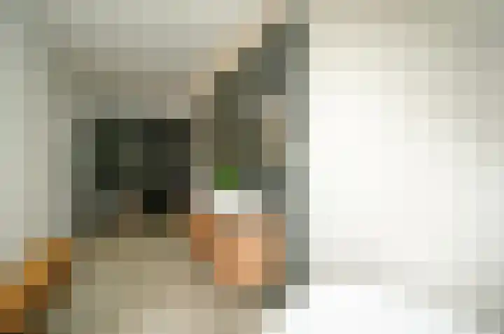 Hazekade 18 Bodegraven thumbnail 34