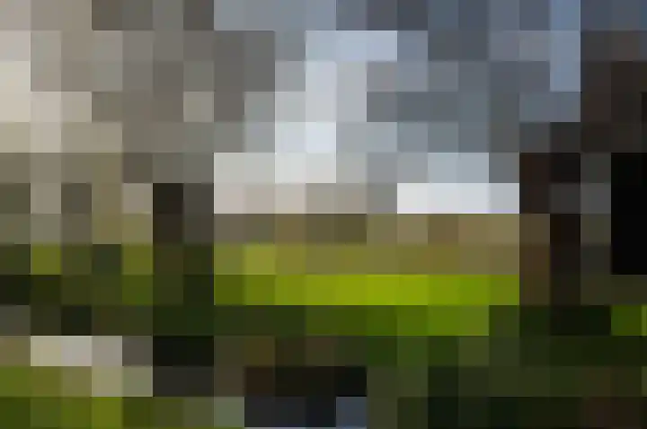 Hazekade 18 Bodegraven thumbnail 44
