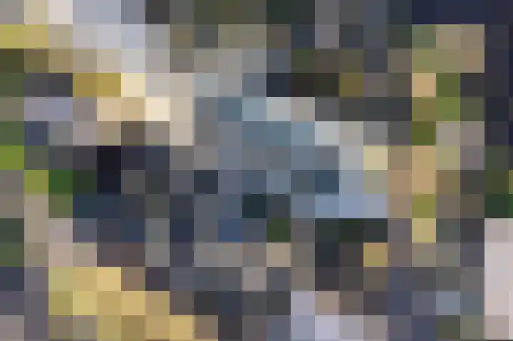 Hazekade 18 Bodegraven thumbnail 45