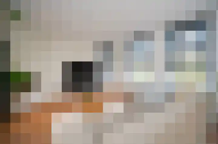Hazekade 18 Bodegraven thumbnail 8