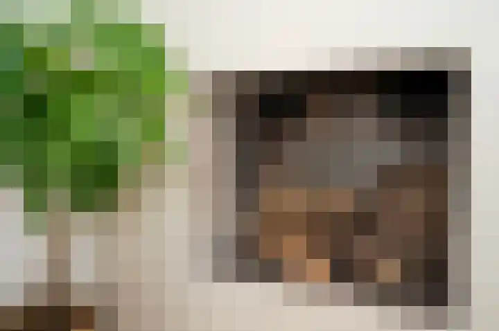 Hazekade 18 Bodegraven thumbnail 9