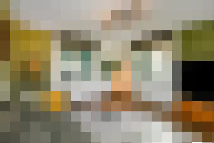 Hazekamp 4 Huissen thumbnail 13