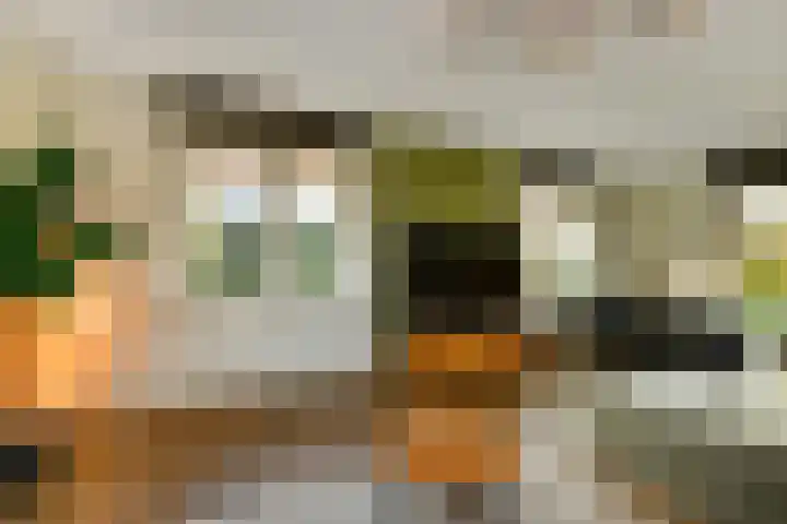 Hazekamp 4 Huissen thumbnail 14