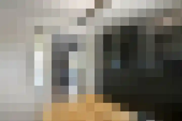 Hazekamp 4 Huissen thumbnail 28