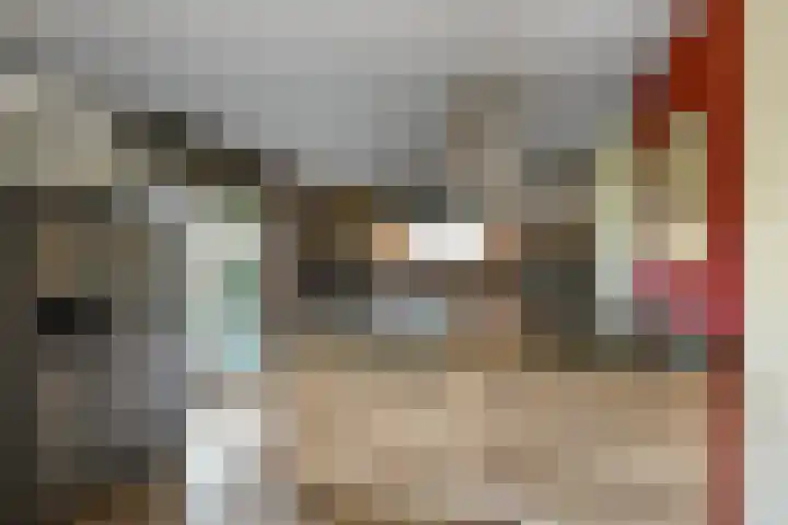 Hazekamp 4 Huissen thumbnail 29