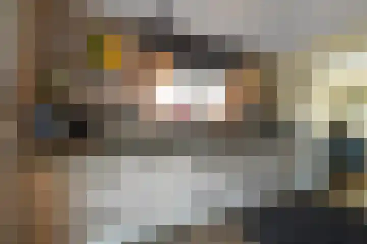 Hazekamp 4 Huissen thumbnail 30