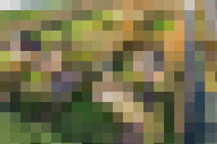 Hazekamp 4 Huissen thumbnail 4