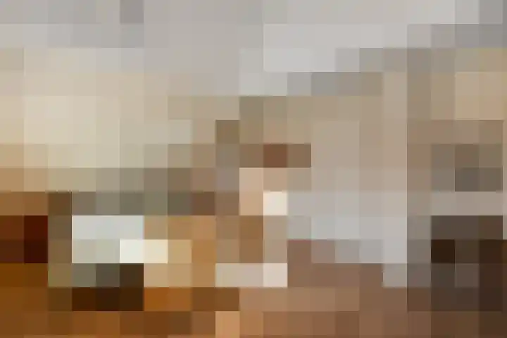 Hazekamp 4 Huissen thumbnail 42