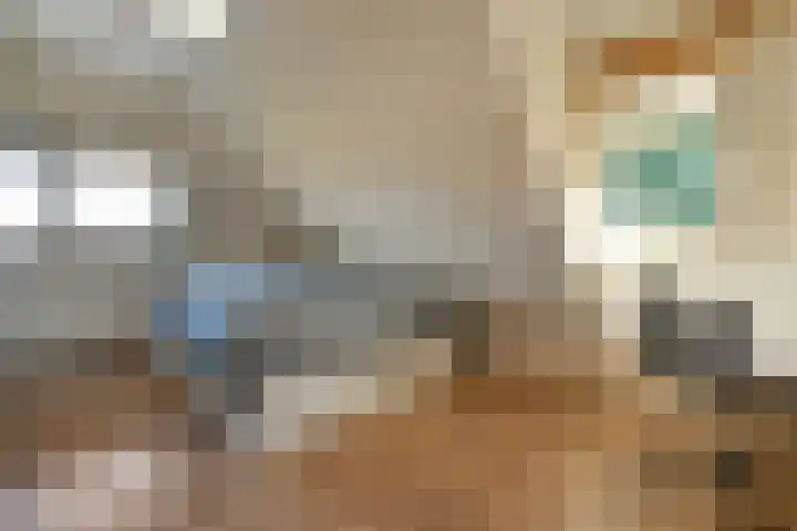 Hazekamp 4 Huissen thumbnail 49