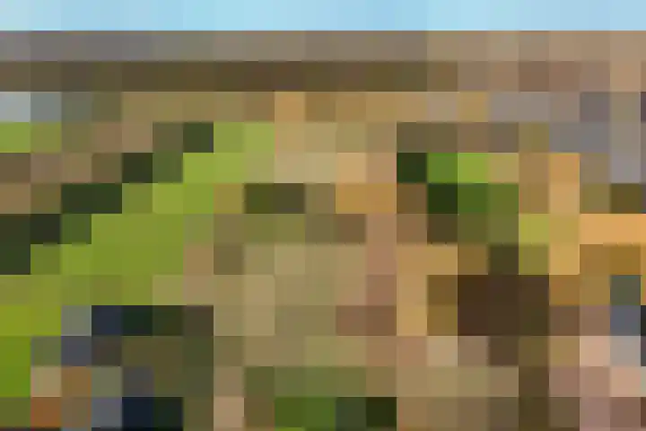 Hazekamp 4 Huissen thumbnail 5
