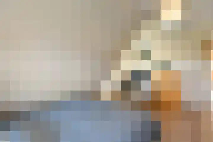 Hazekamp 4 Huissen thumbnail 51