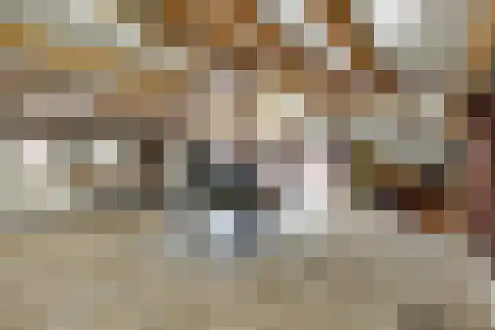 Hazekamp 4 Huissen thumbnail 62
