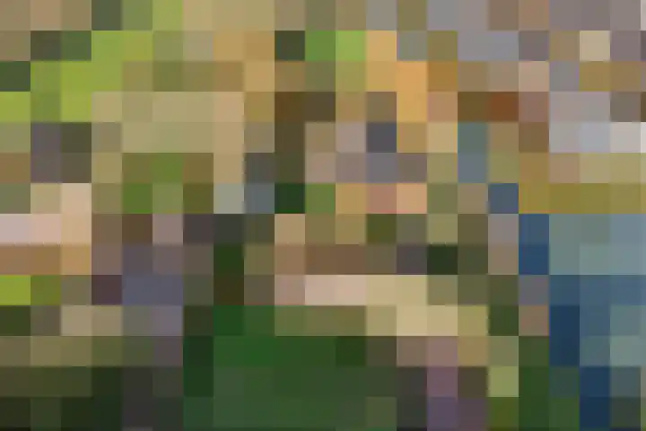 Hazekamp 4 Huissen thumbnail 68
