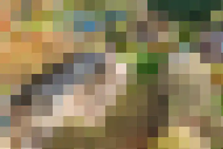 Hazekamp 4 Huissen thumbnail 69