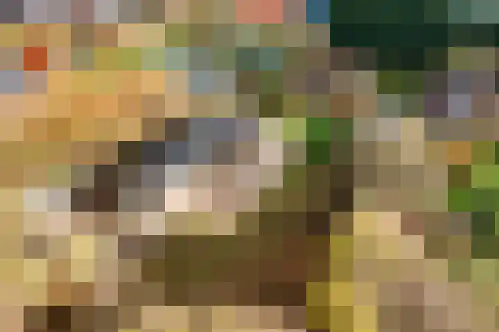 Hazekamp 4 Huissen thumbnail 7