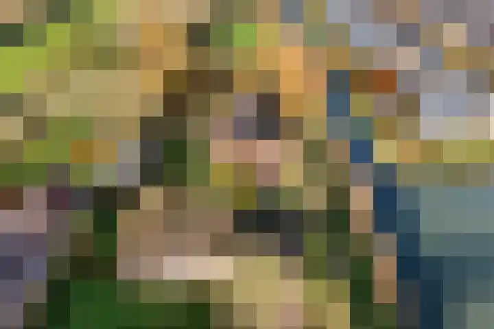 Hazekamp 4 Huissen thumbnail 71