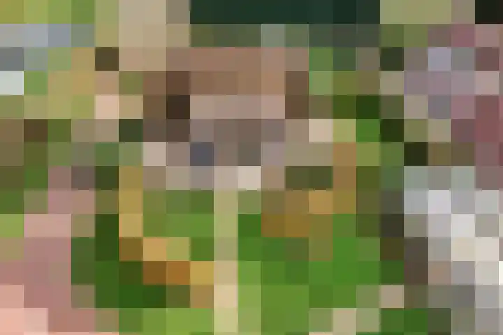 Hazekamp 4 Huissen thumbnail 72