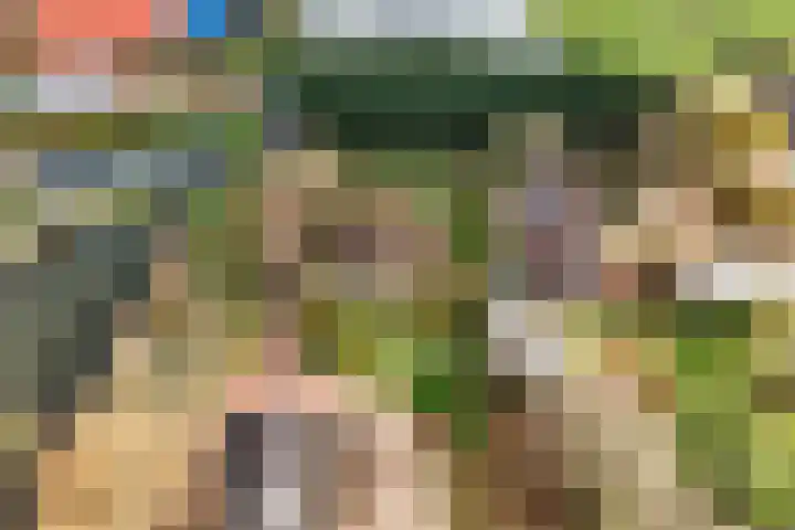 Hazekamp 4 Huissen thumbnail 9