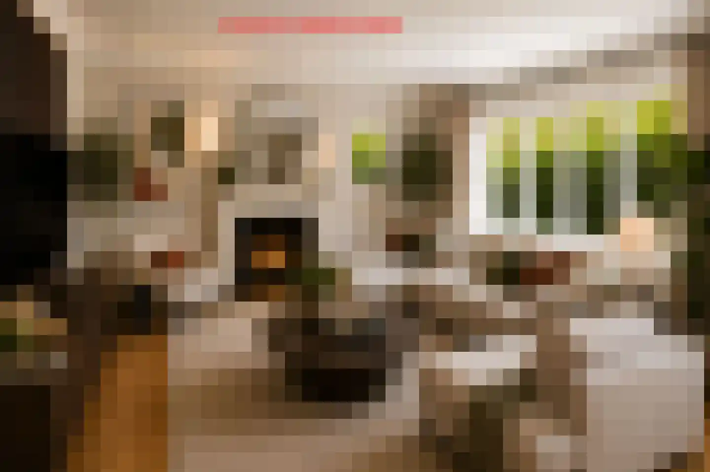 Hazelaan 1 Wassenaar thumbnail 18
