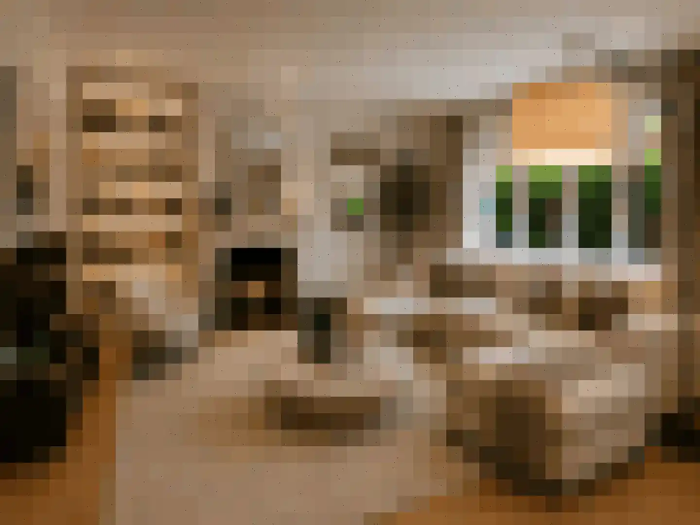Hazelaan 1 Wassenaar thumbnail 18