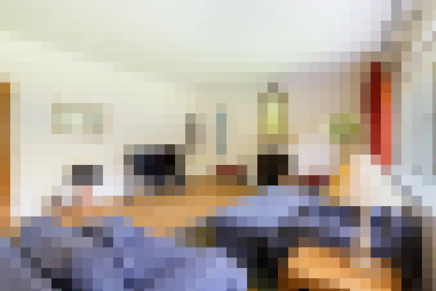 Hazelaan 1 Wassenaar thumbnail 21