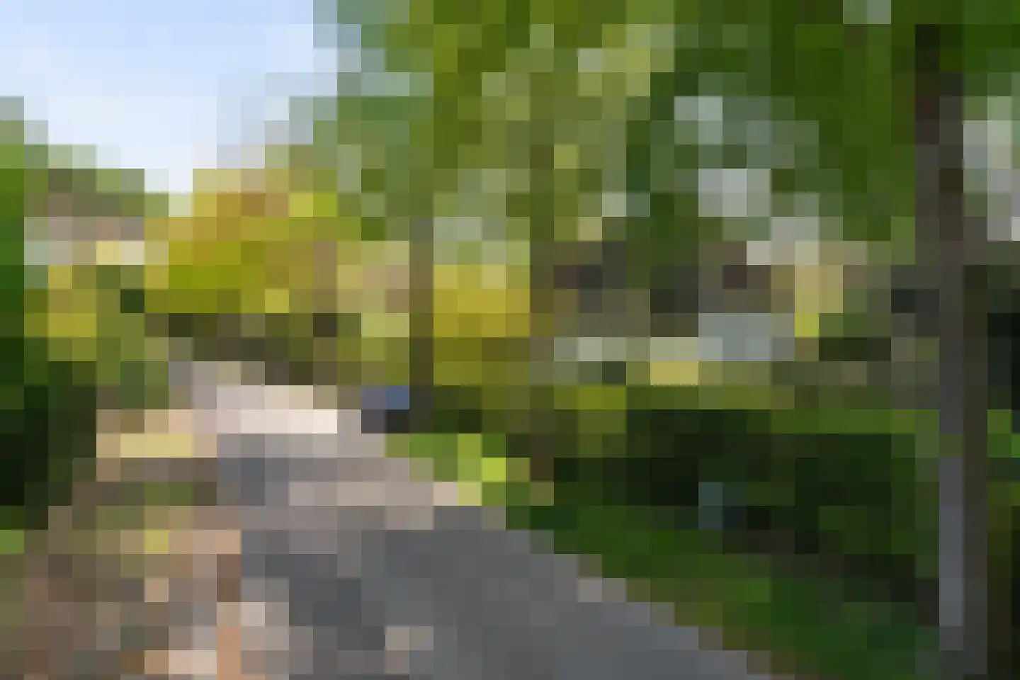 Hazelaan 1 Wassenaar foto 3