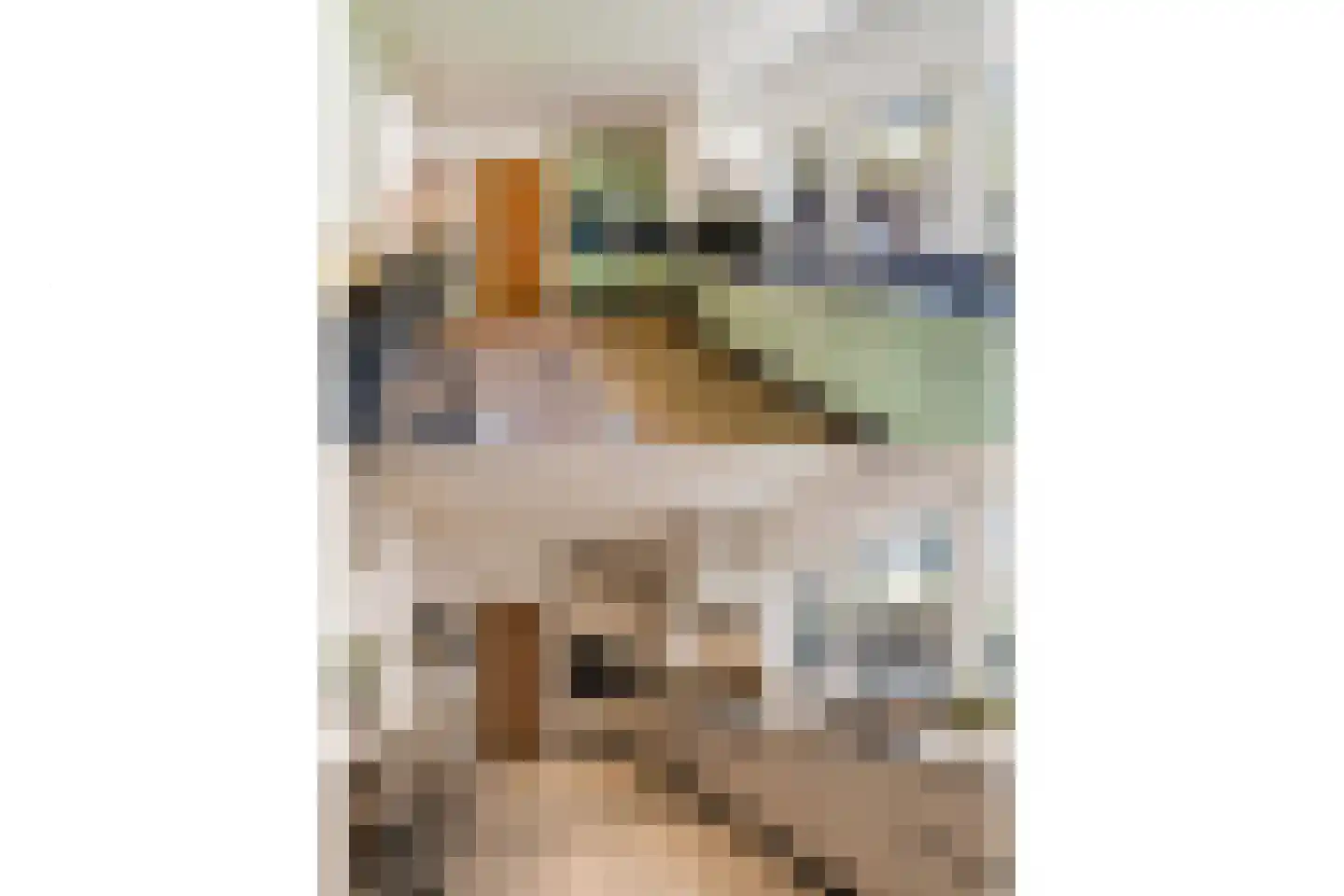 Hazelaan 1 Wassenaar thumbnail 34