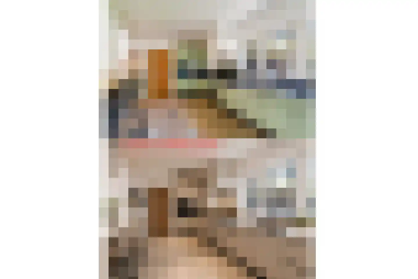 Hazelaan 1 Wassenaar thumbnail 34