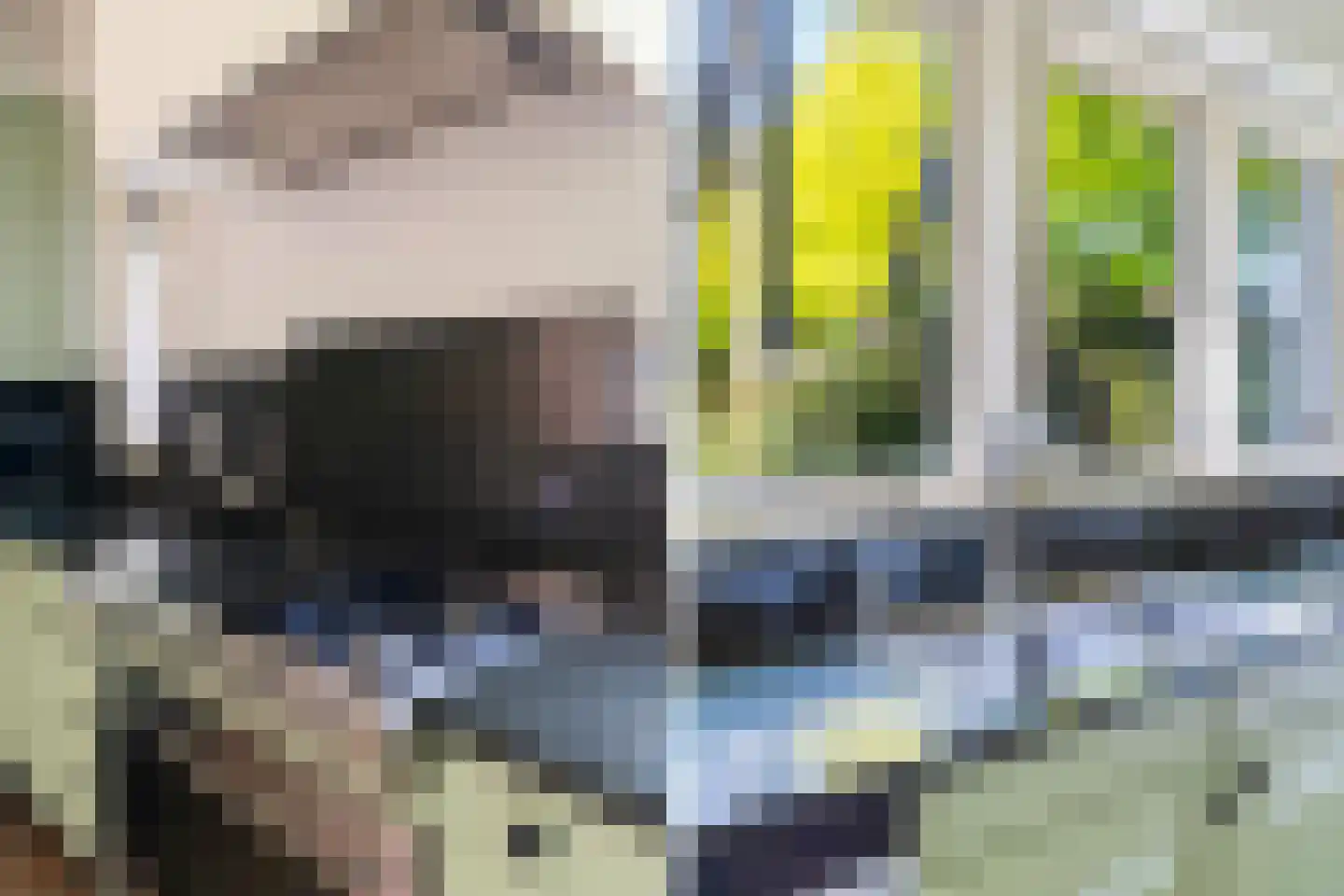 Hazelaan 1 Wassenaar thumbnail 37