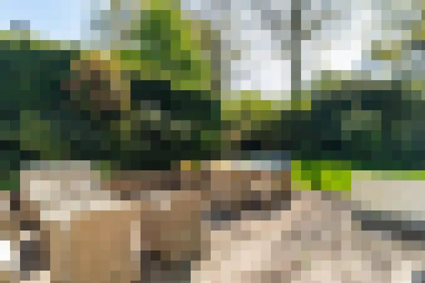 Hazelaan 1 Wassenaar thumbnail 38
