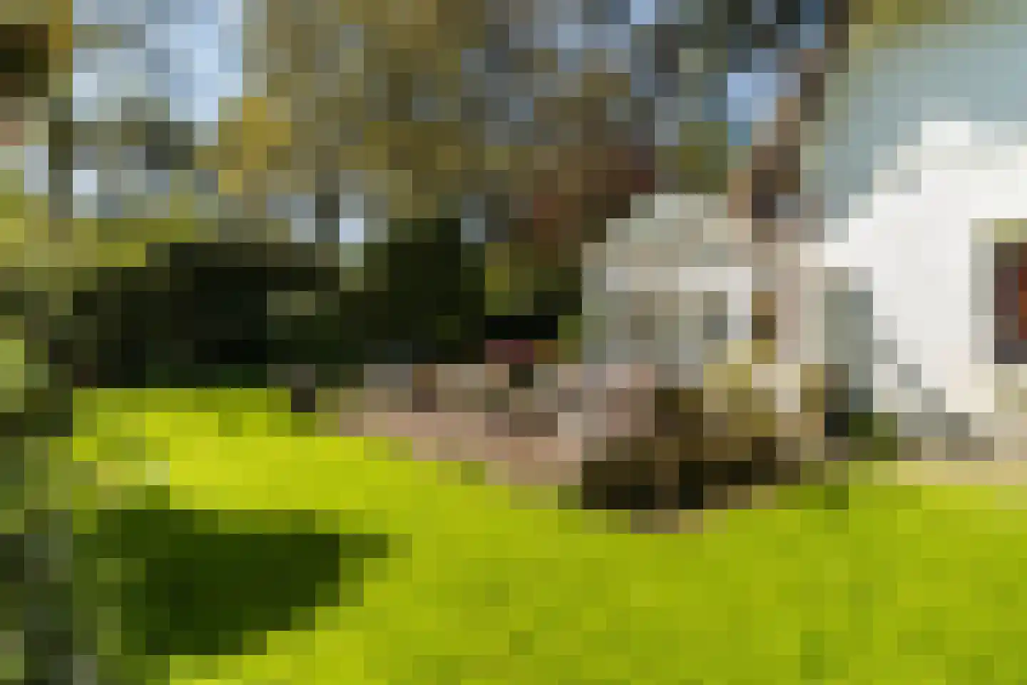 Hazelaan 1 Wassenaar thumbnail 39