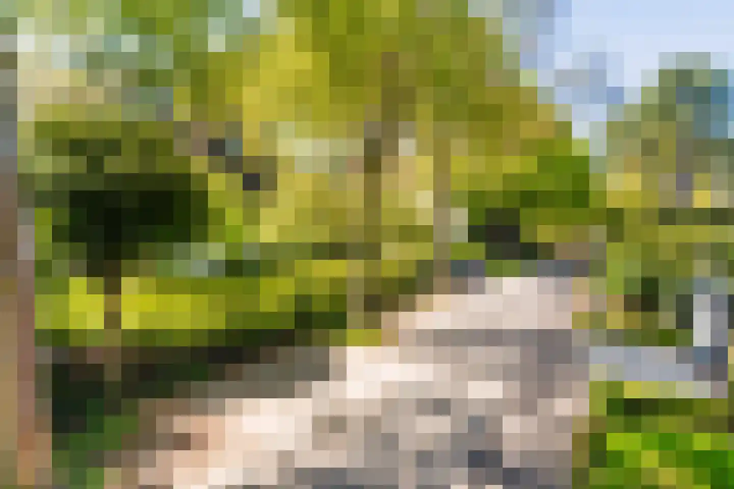 Hazelaan 1 Wassenaar thumbnail 4