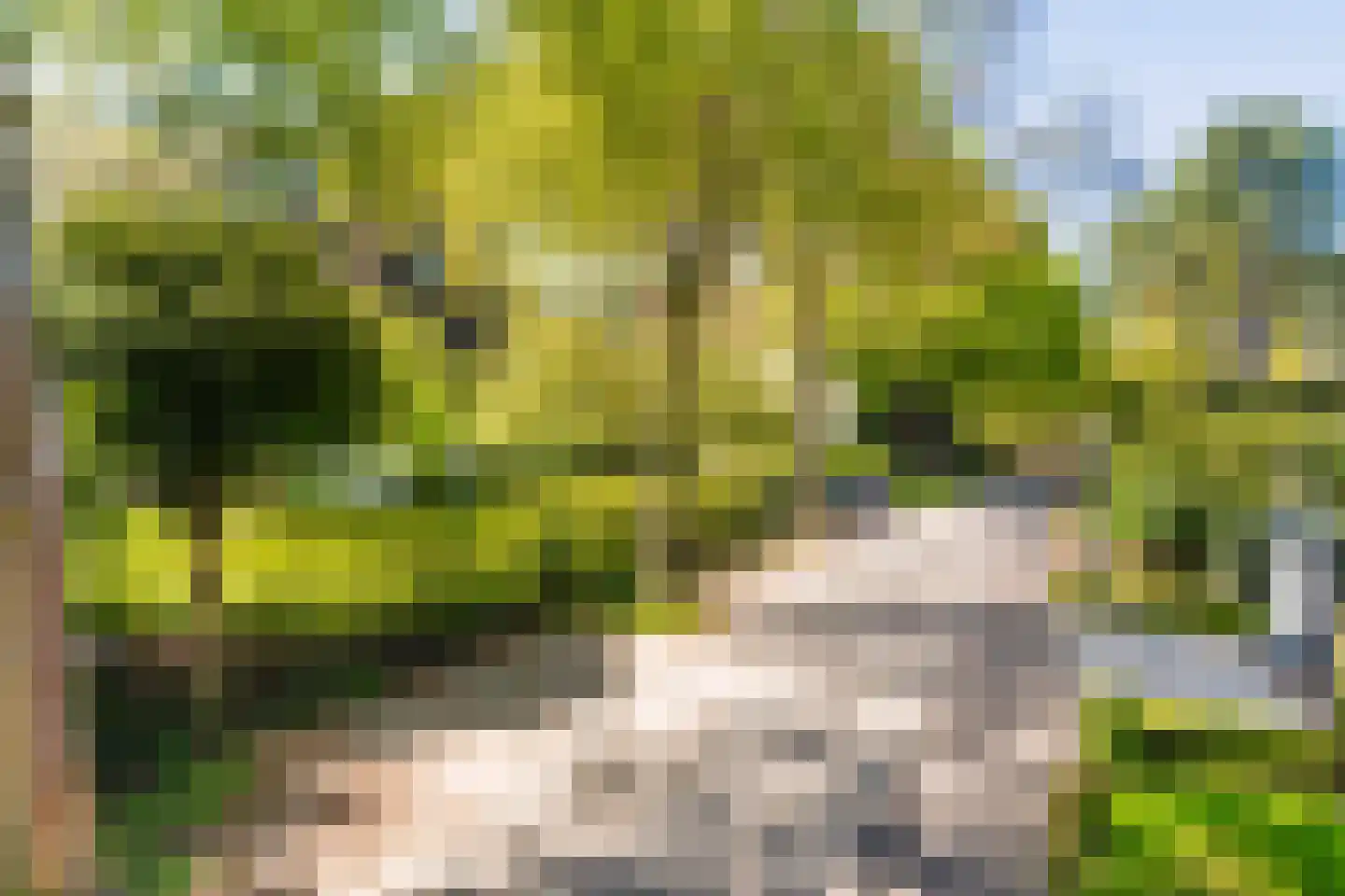 Hazelaan 1 Wassenaar thumbnail 5