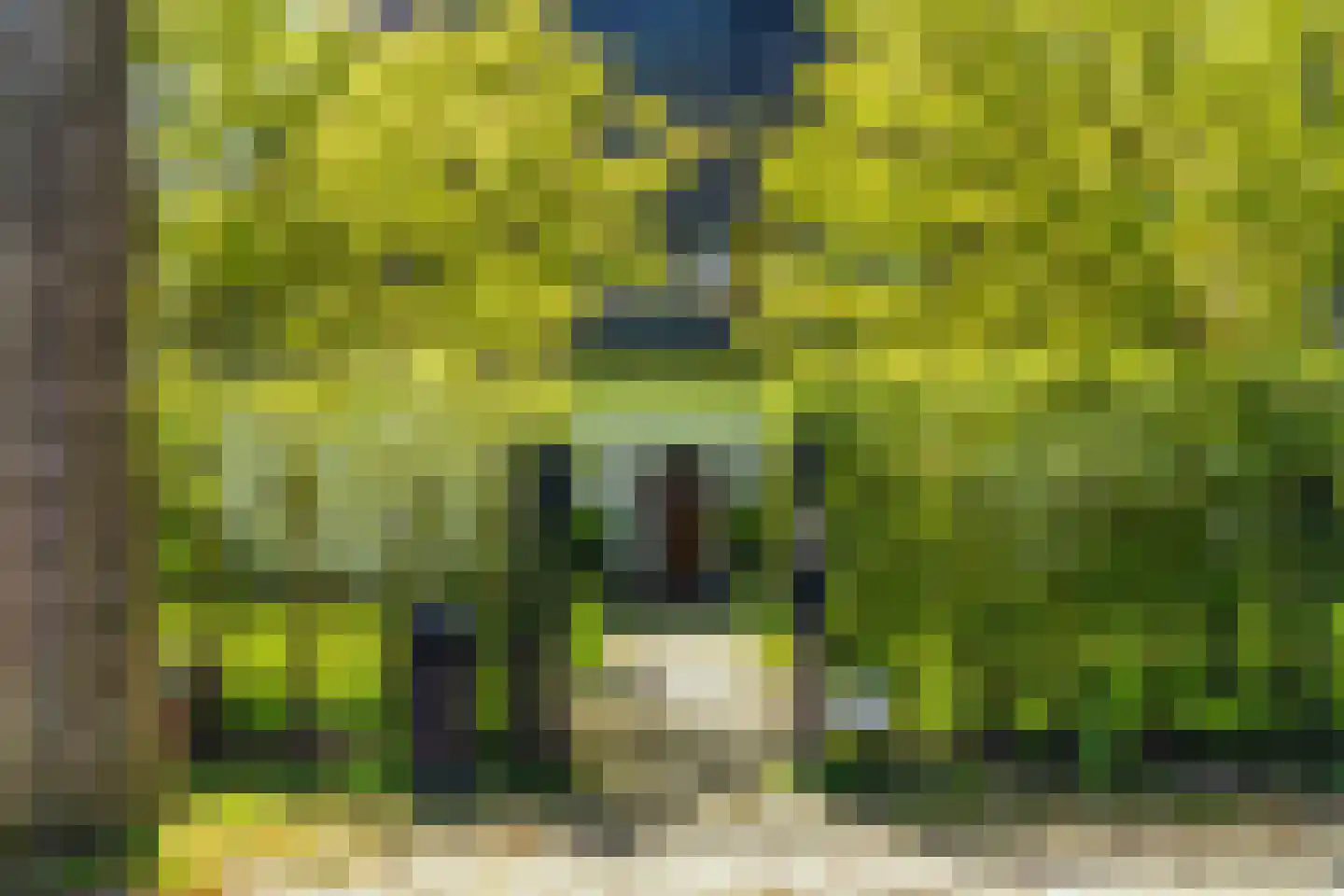 Hazelaan 1 Wassenaar thumbnail 5