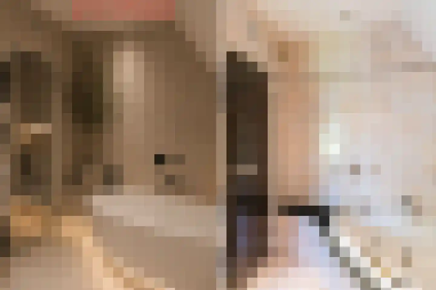 Hazelaan 1 Wassenaar thumbnail 54