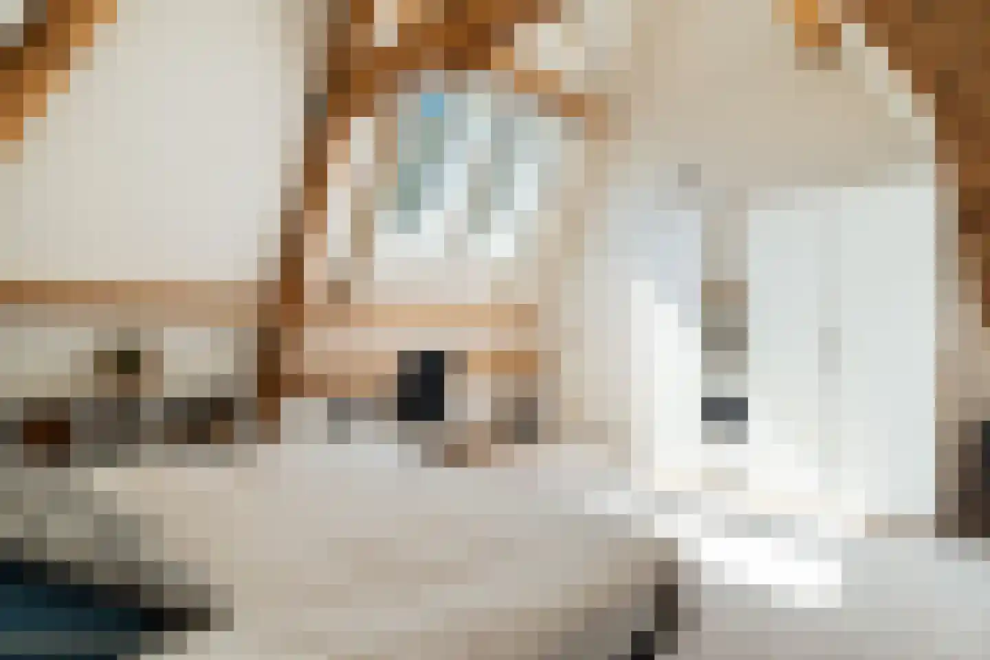 Hazelaan 1 Wassenaar thumbnail 62