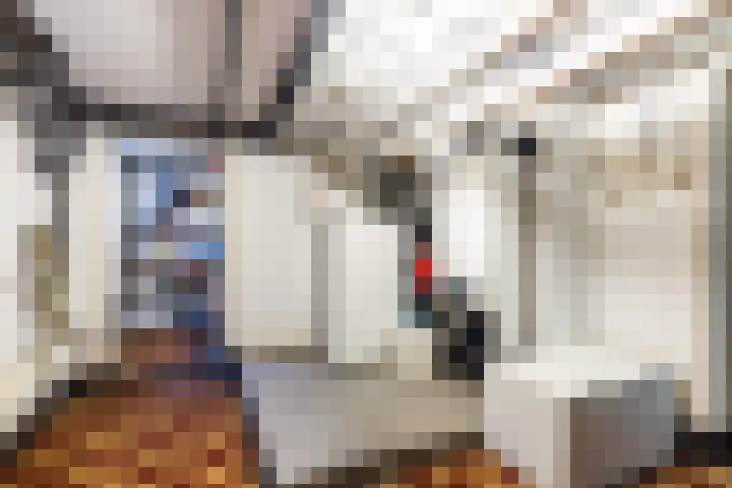 Hazelaan 1 Wassenaar thumbnail 71