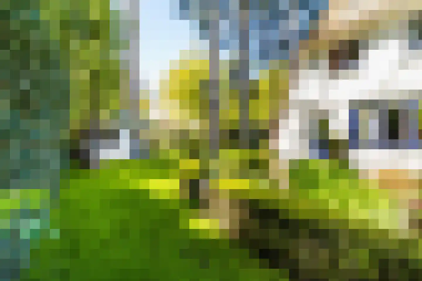 Hazelaan 1 Wassenaar thumbnail 76